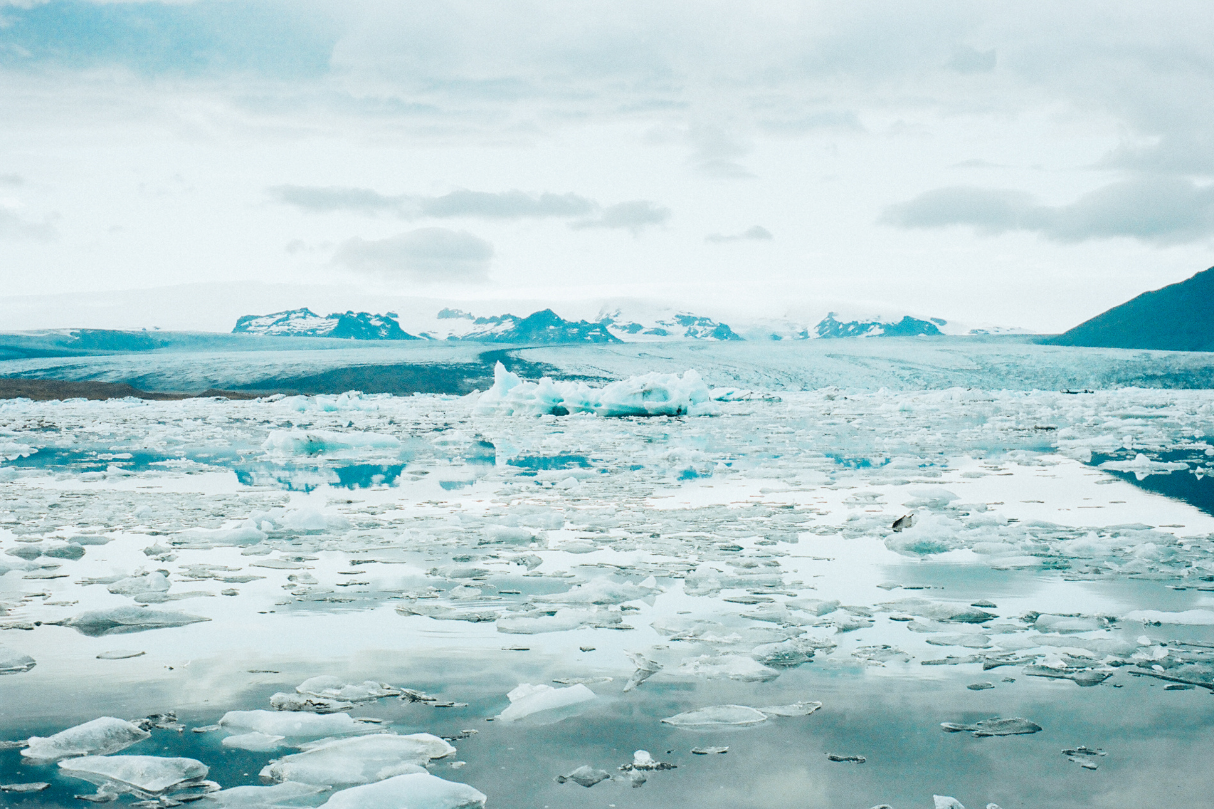 bråsvellsbreen glacier (3).webp